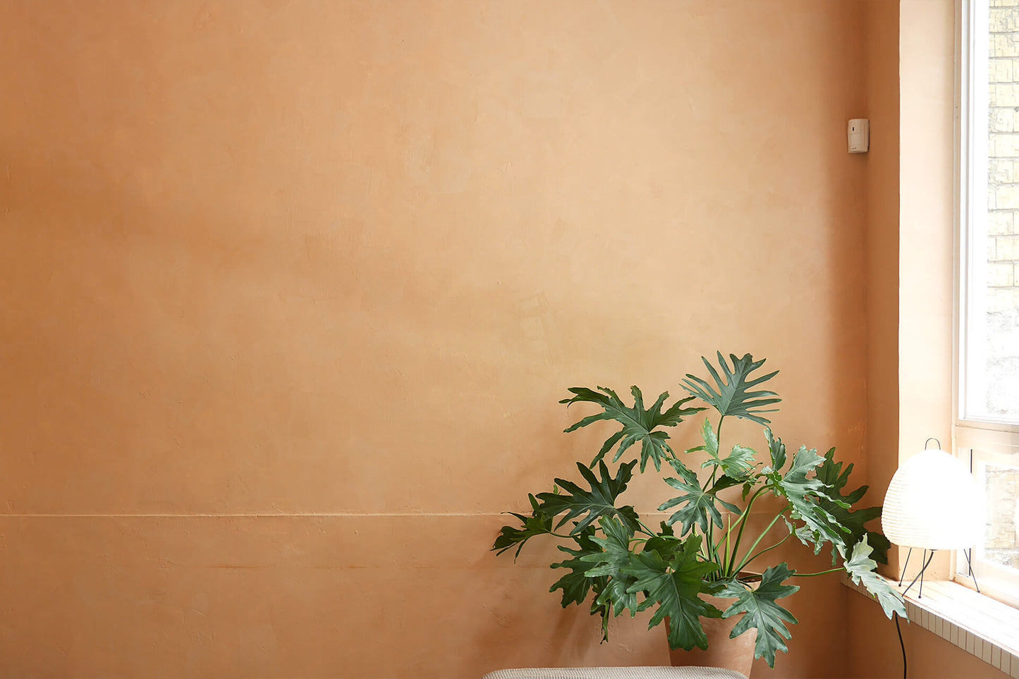 ClayPaint-Gorgeous-10