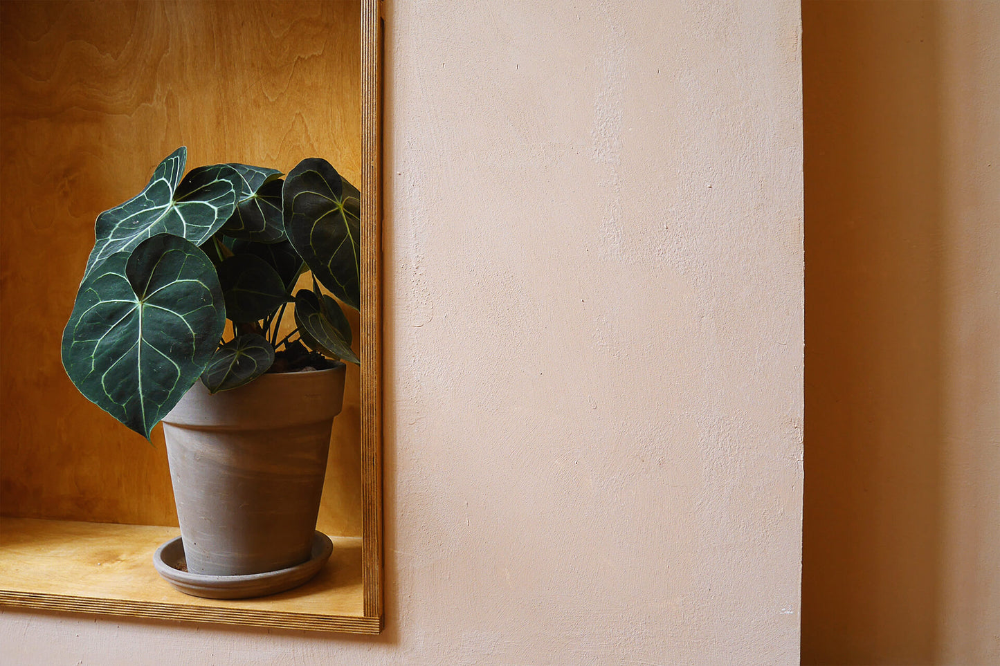 ClayPaint-Gorgeous-10