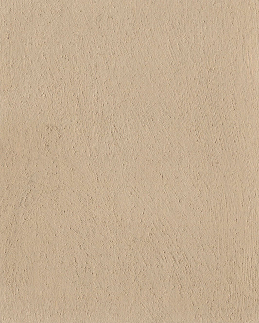 LimeWashPaint-Daub-12