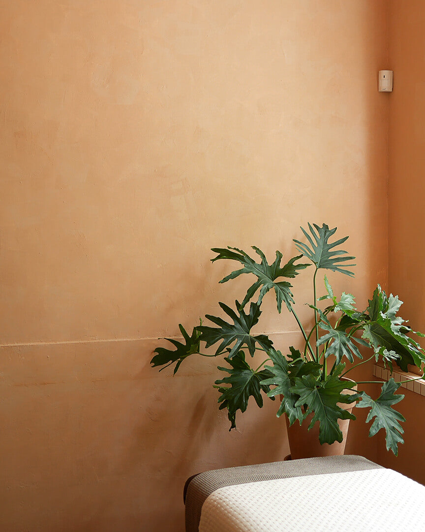 ClayPaint-Gorgeous-10
