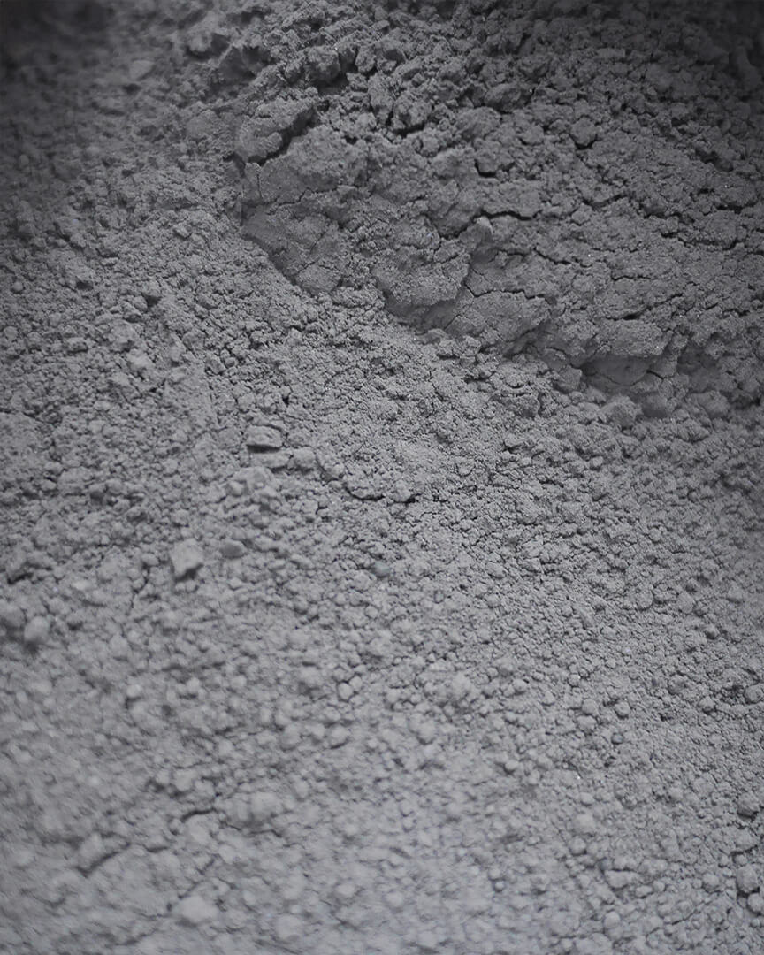 Pigment-NoirDeVigne