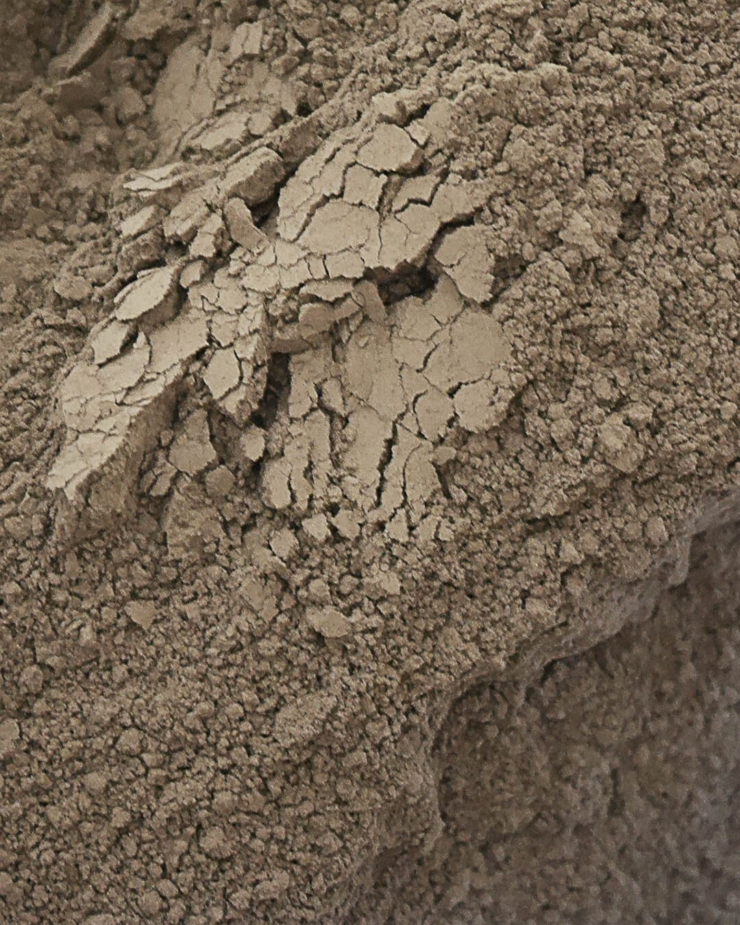 Pigment-TR_0281