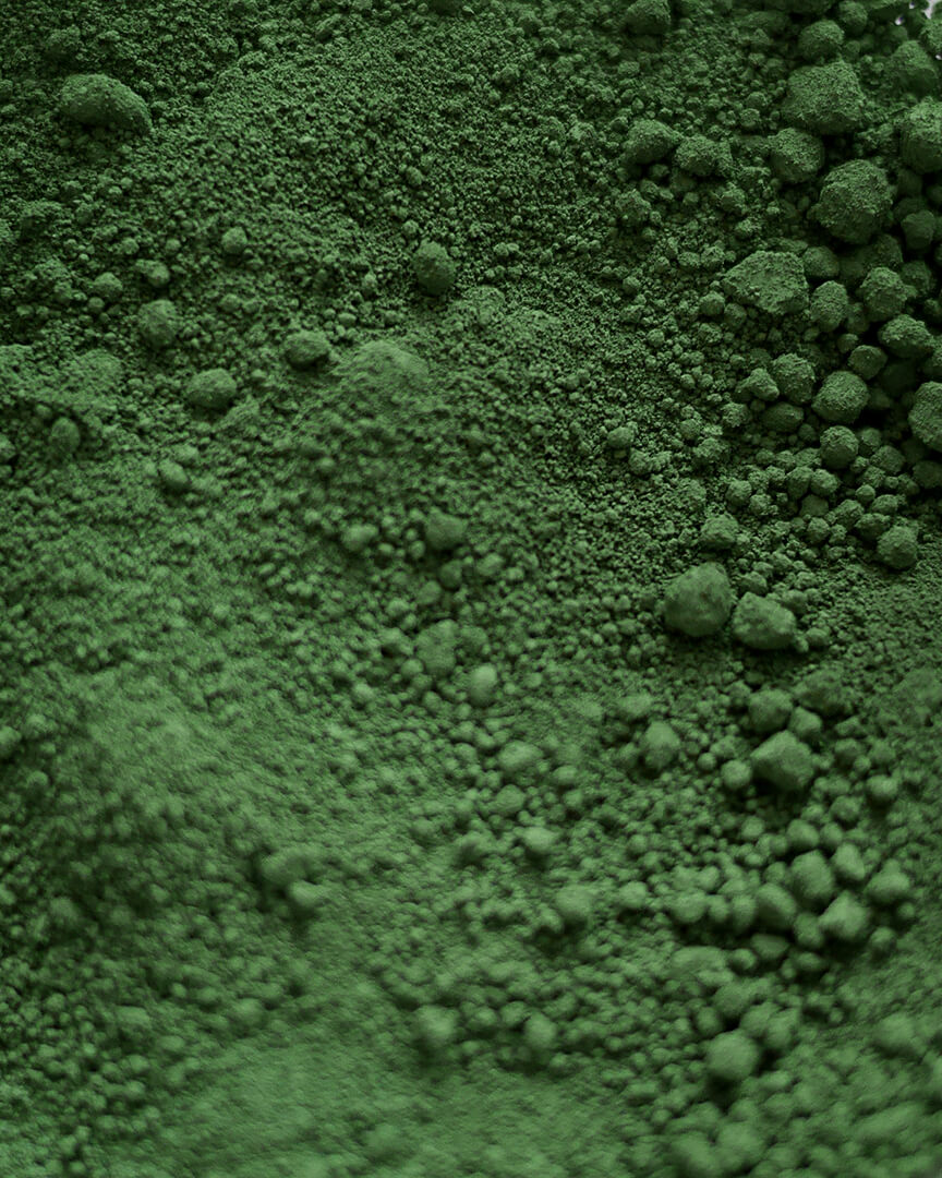 Pigment-VertGN