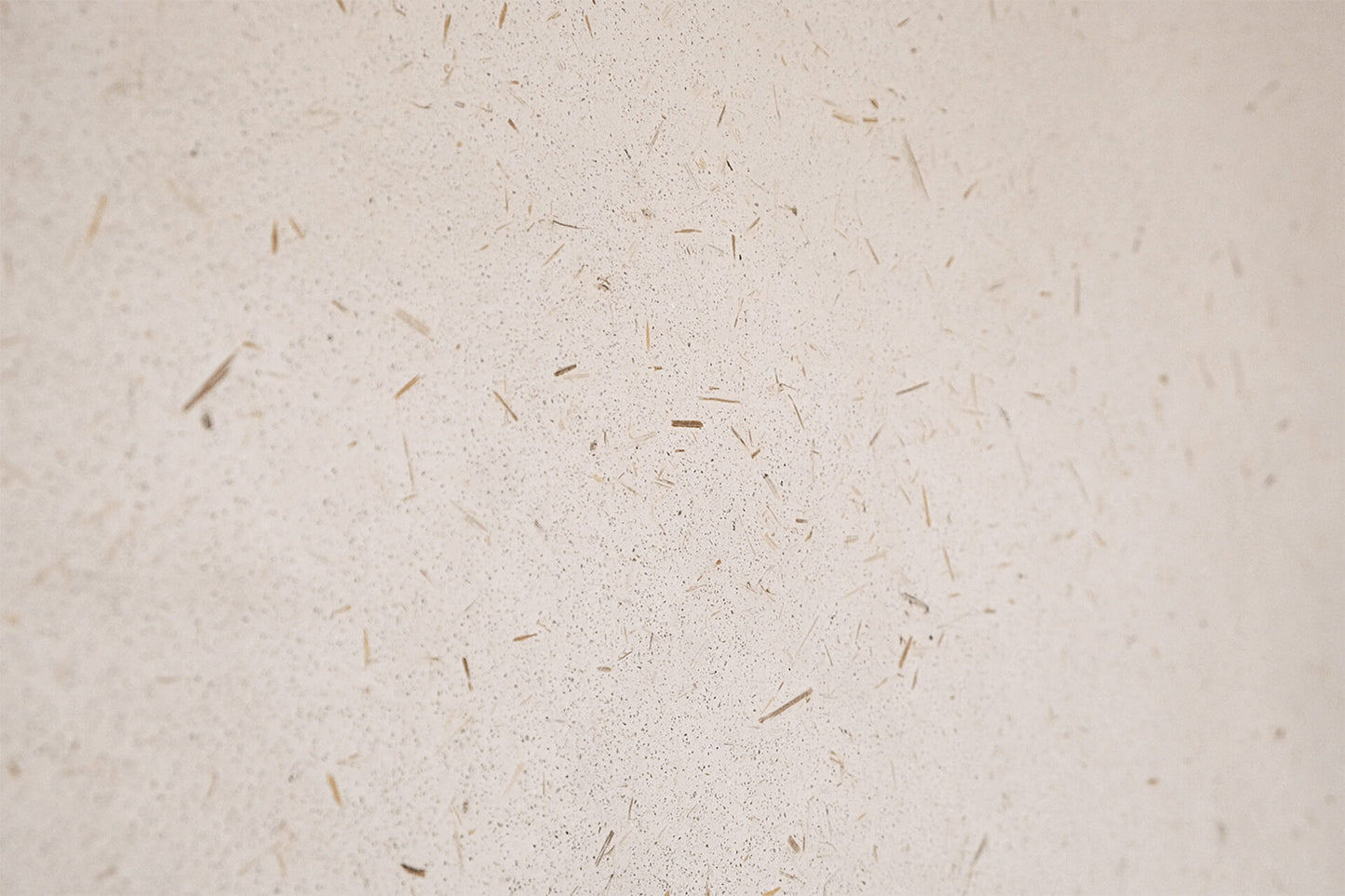 MarbleLimePlaster