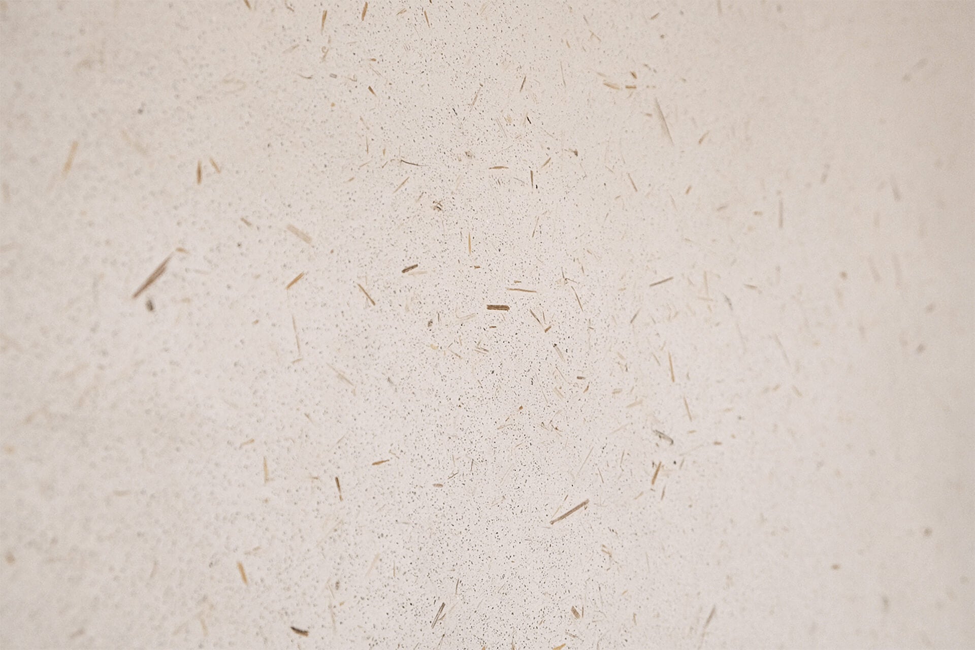 MarbleLimePlaster