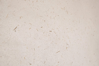 MarbleLimePlaster