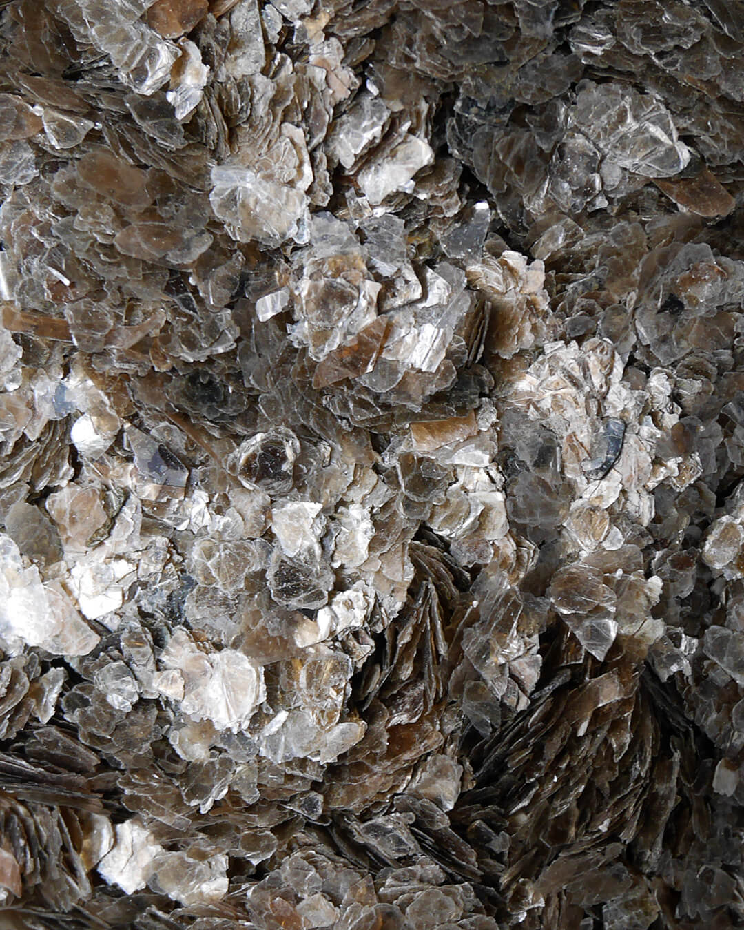 Micatea Mica|Tea | bau-